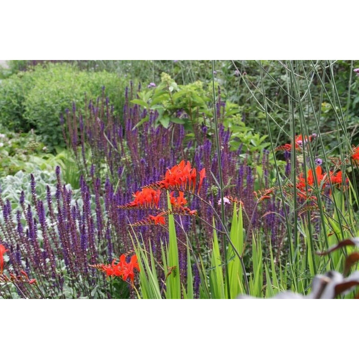 Borderpakket Onderhoudsarm D (4 m2)