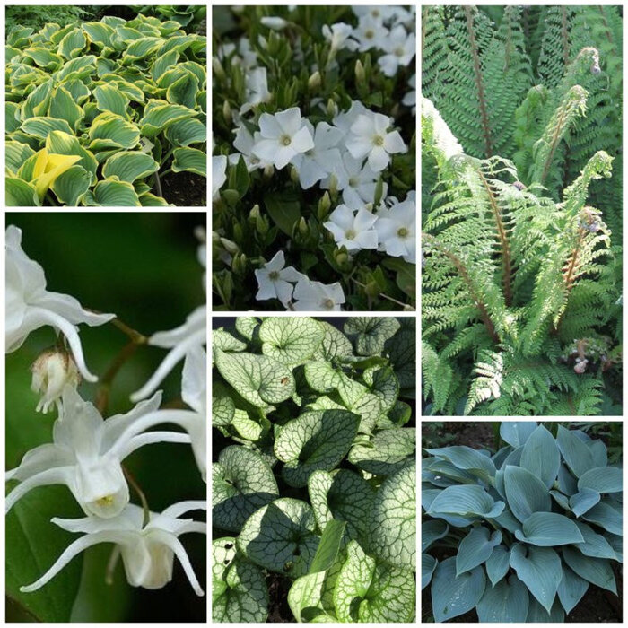 Borderpakket Onderhoudsarm E (3 m2)