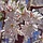 Japanse sierkers - Prunus subhirtella 'Autumnalis' meerstammig