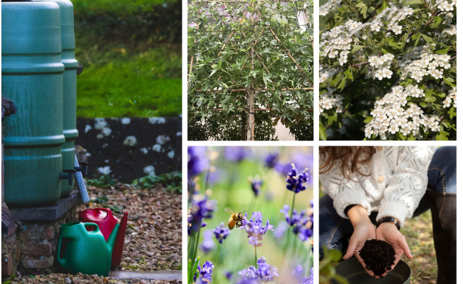 15 tips voor een duurzamere tuin