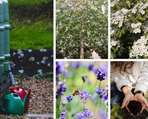 15 tips voor een duurzamere tuin