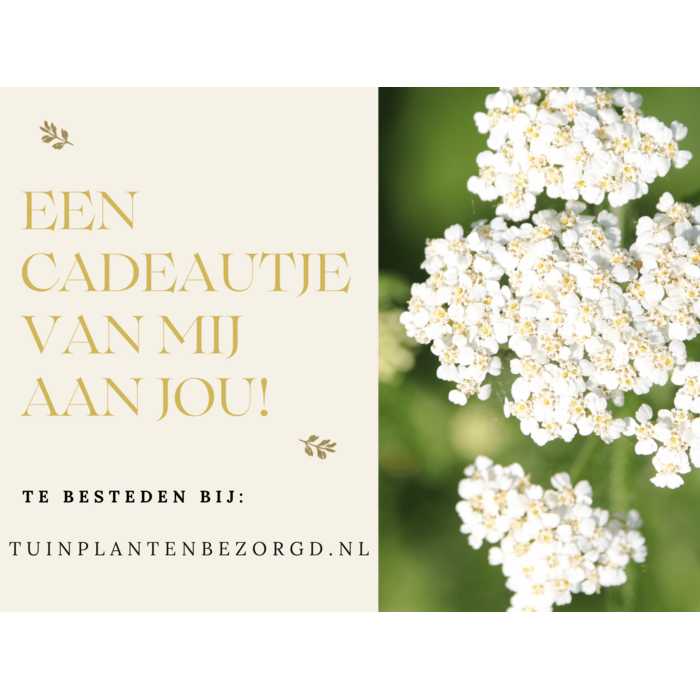 Cadeaubon