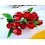 Houten tulp rood m/zwart op steel met blad 30cm