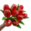 Strauß roter Tulpen r / b (10, 20 oder 30 Stück)