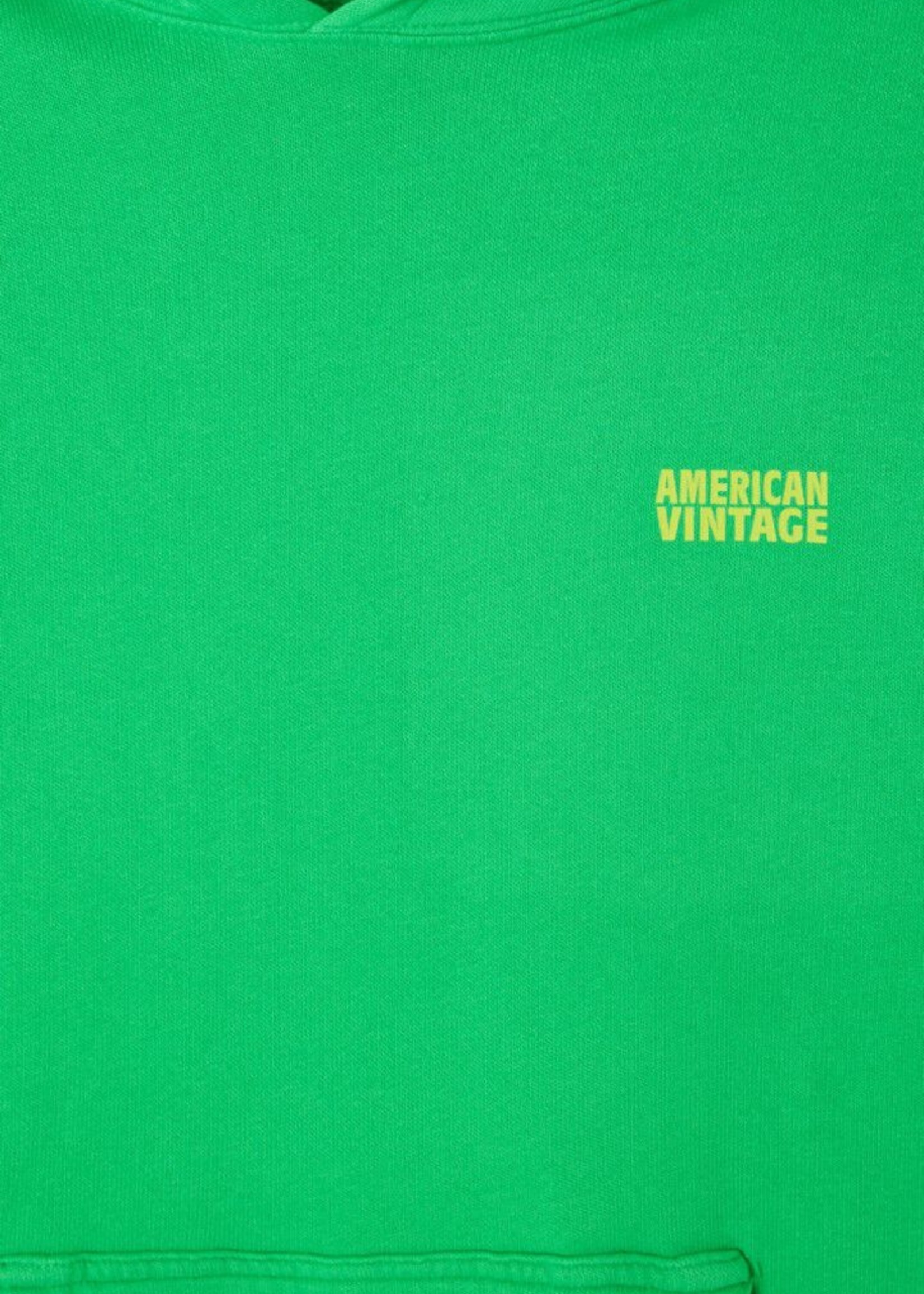 American Vintage Hoodie IZUBIRD