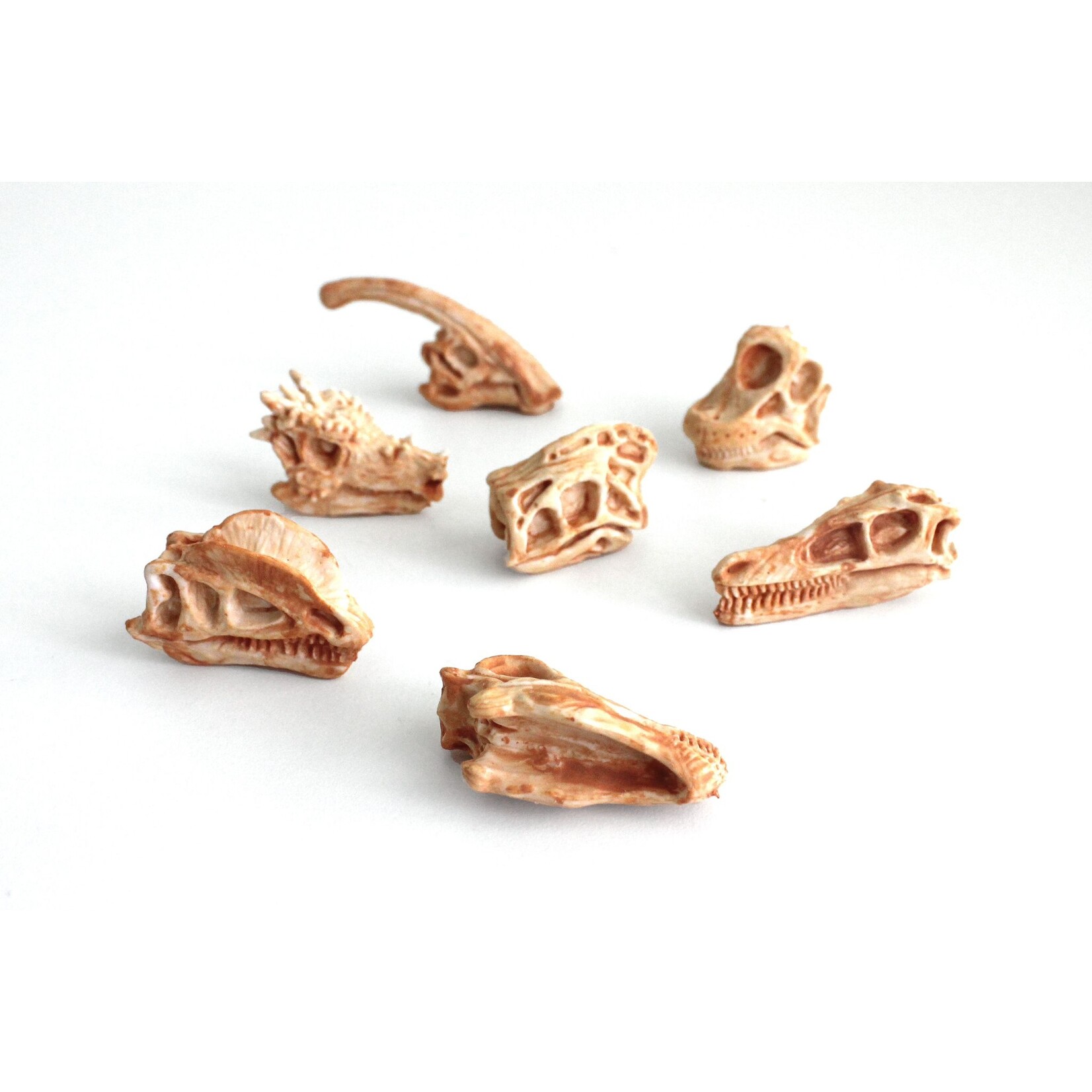 Fossielen dino (set 7 stuks)