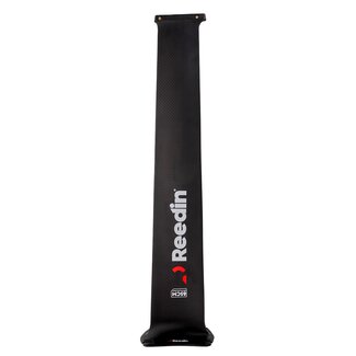 Reedin Mast Carbon For FA + Elca 2024