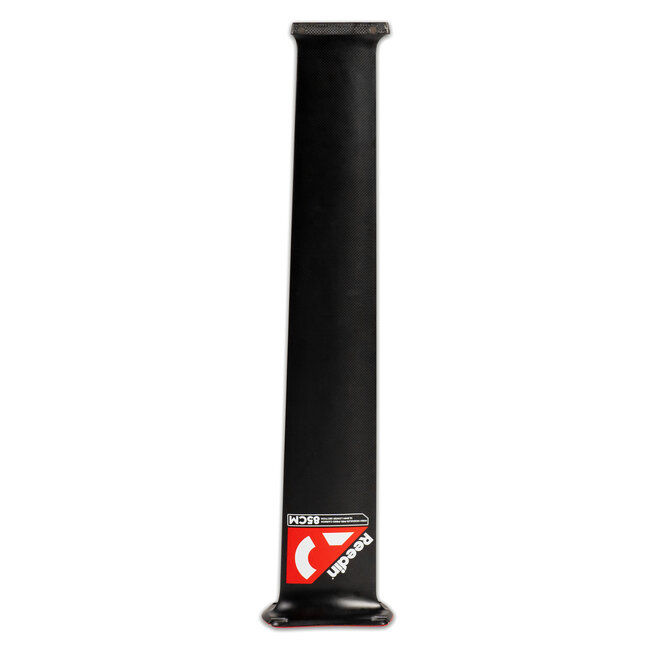 Reedin Mast Carbon For FA + Elca 2024