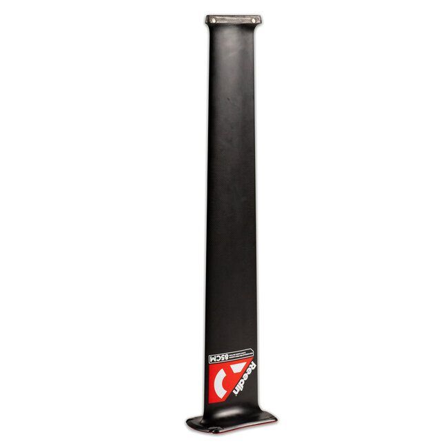 Reedin Mast Carbon For FA + Elca 2024