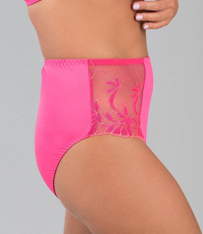 Juliette High Waist Brief   Camille Radiance