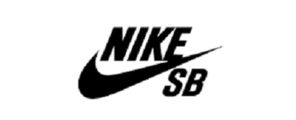 SB Dunk