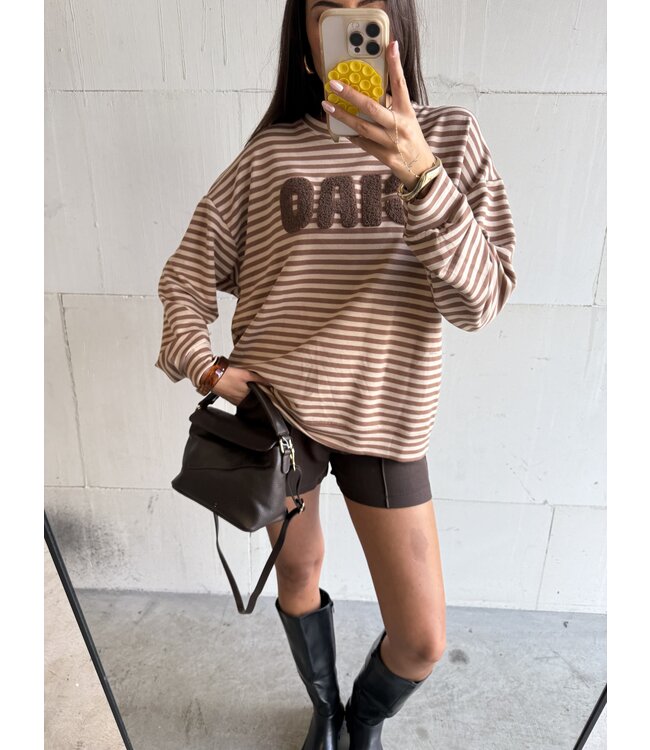 Trui Striped Ciao Beige Brown