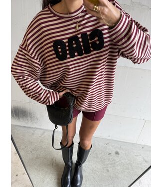 Trui Striped Ciao Bordeaux Beige