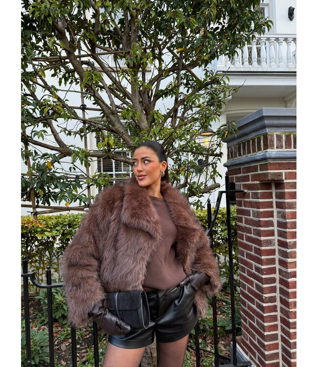 The Fake Fur Brown