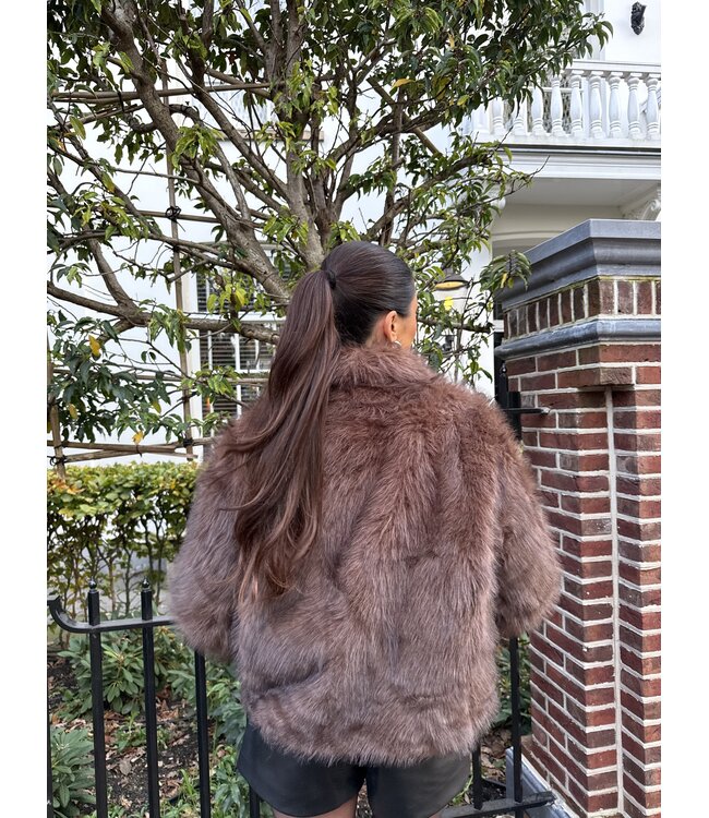 The Fake Fur Brown