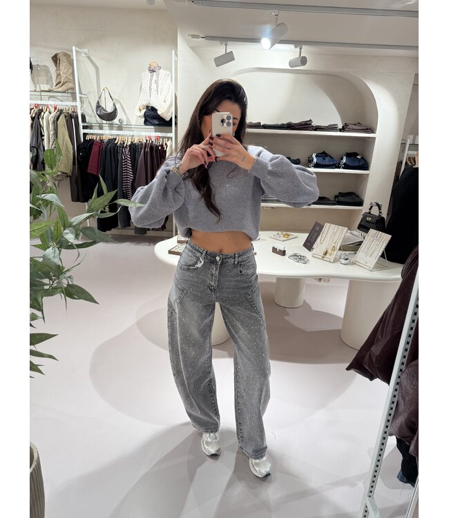 Balloon Jeans Strass Stretch Grey