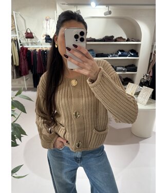 Kabel Knit Vest Beige