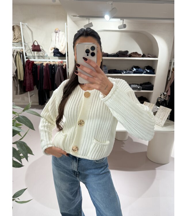 Kabel Knit Vest Off White