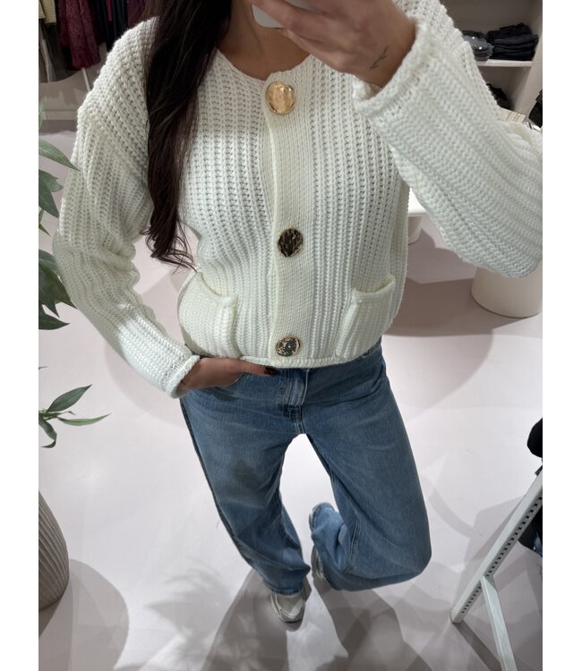 Kabel Knit Vest Off White