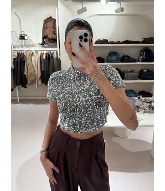 The Sparkle Top Silver
