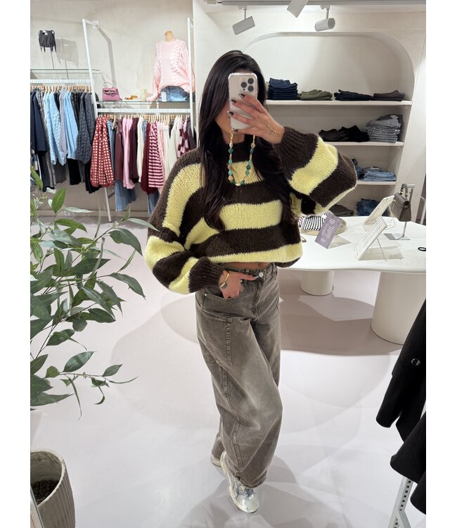 The Knit Striped Brown & Yellow