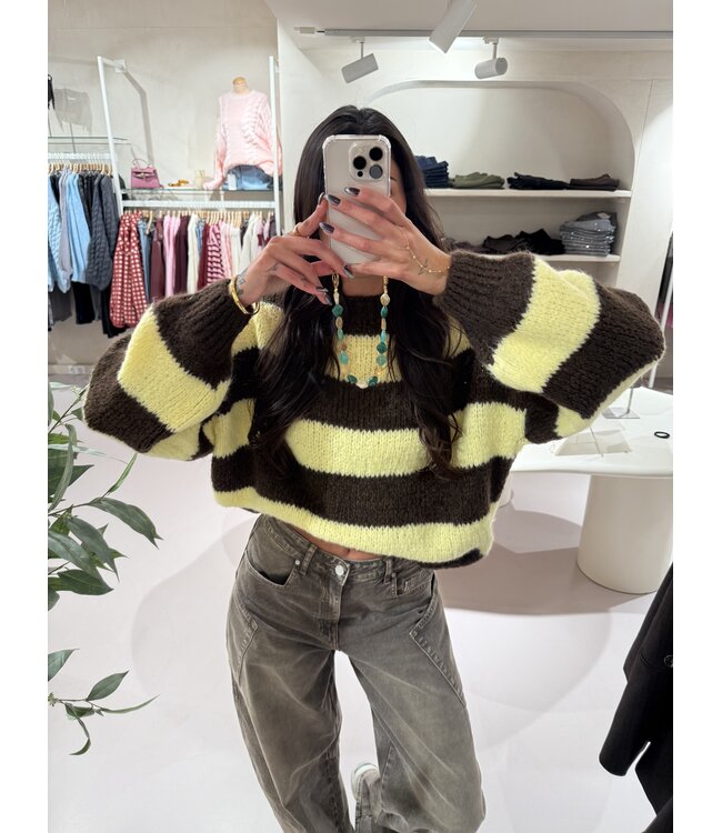 The Knit Striped Brown & Yellow