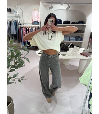 Baggy Wide Leg TALL Grey W3855-G