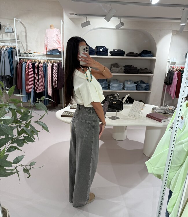 Baggy Wide Leg TALL Grey W3855-G