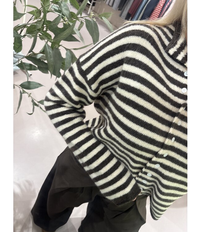 Trui Button Up Striped Brown