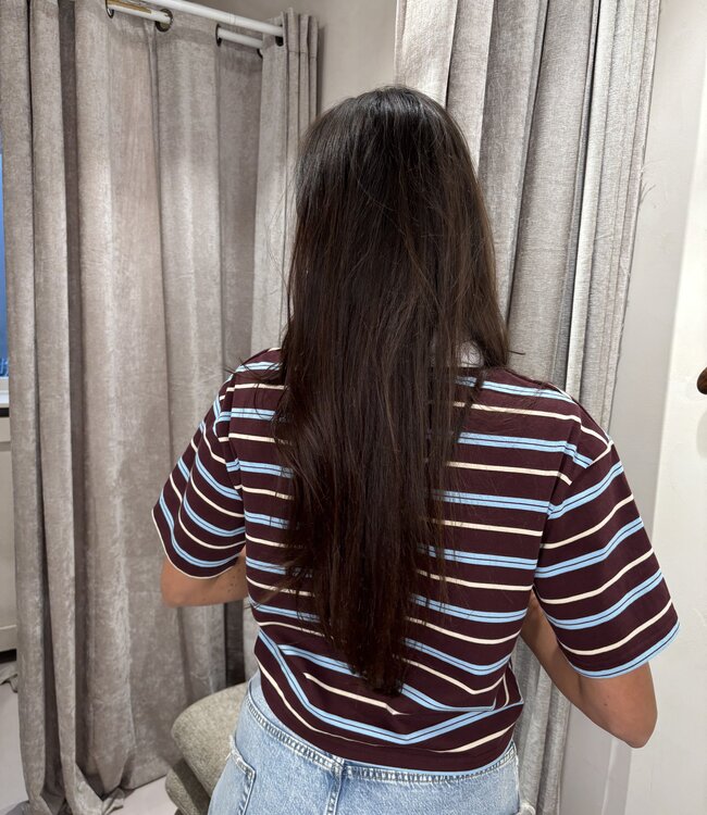 The Cropped Polo Striped