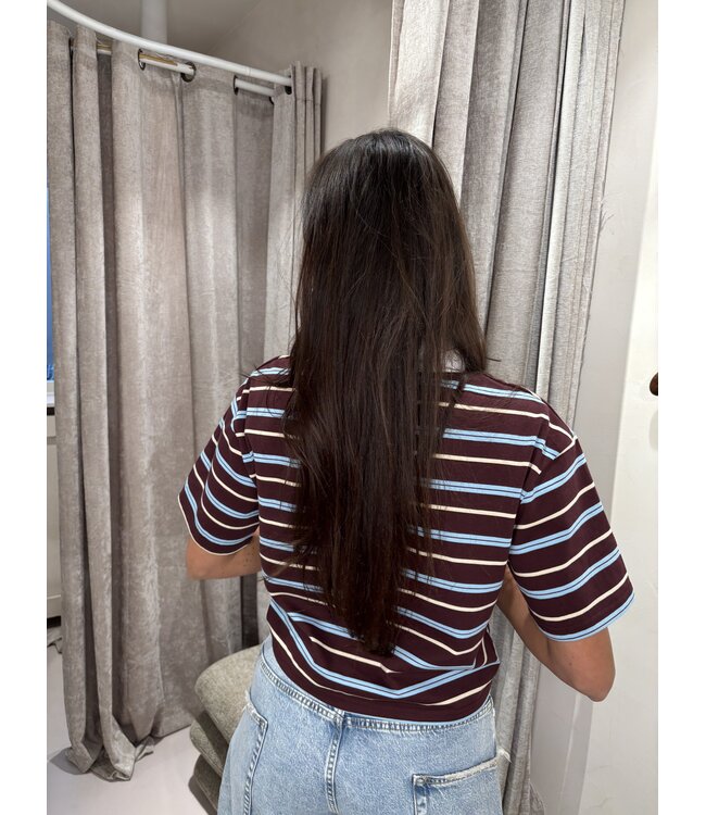 The Cropped Polo Striped