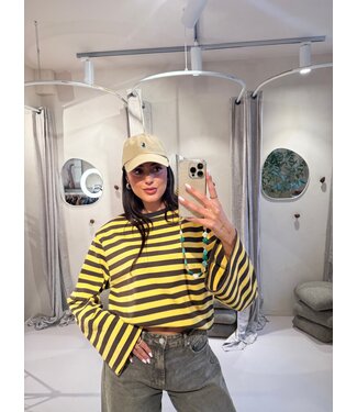 The Striped T-Shirt Brown & Yellow