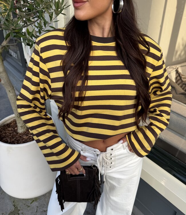 The Striped T-Shirt Brown & Yellow
