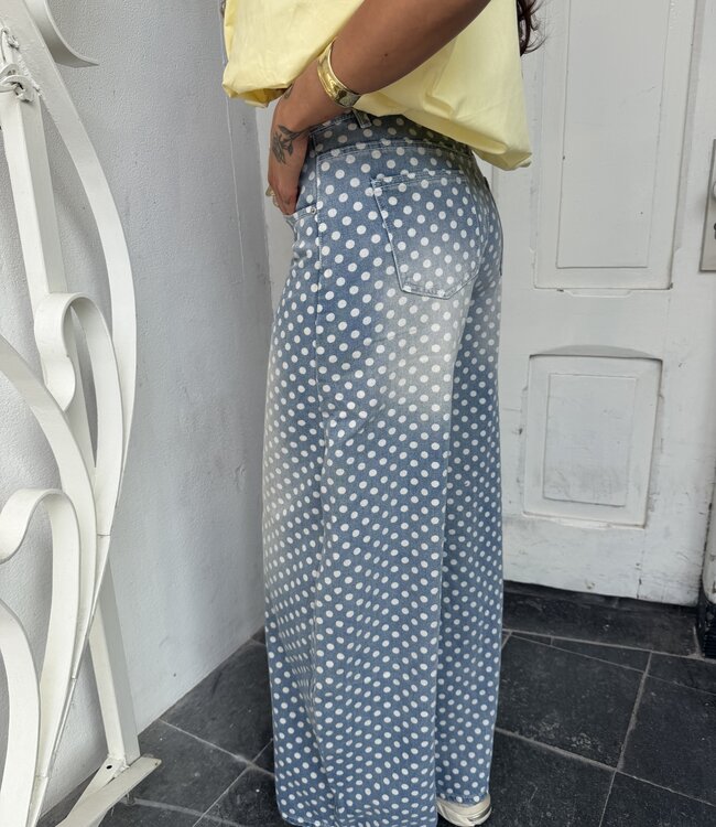 The Polkadot Jeans Denim