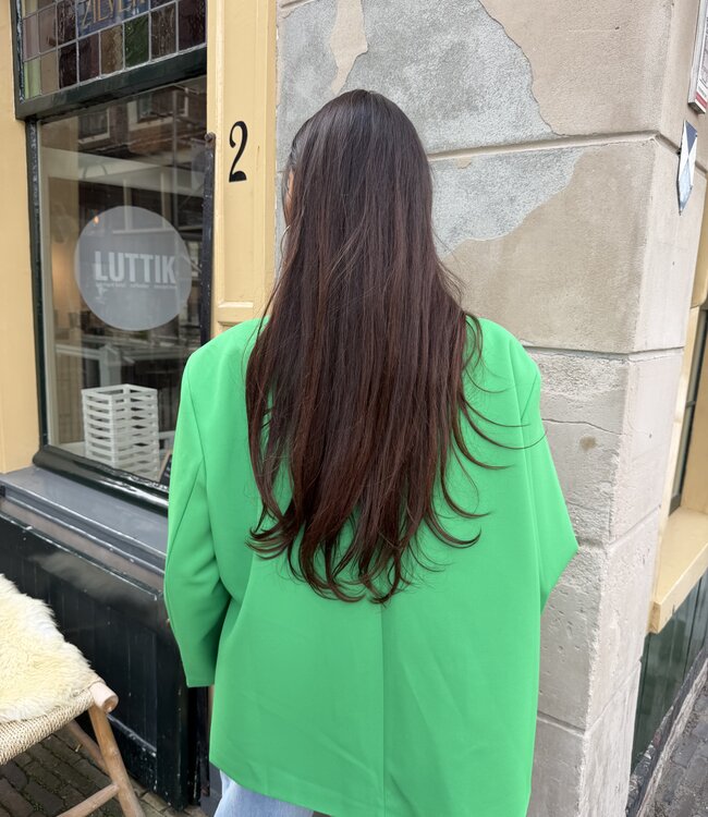 Ambika Oversized Blazer Green