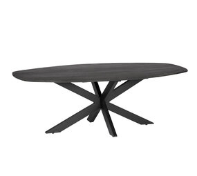 MIRA Salontafel - 40x60x120 - Mangohout - Zwart