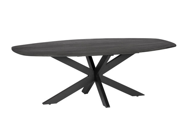 MIRA Salontafel - 40x60x120 - Mangohout - Zwart