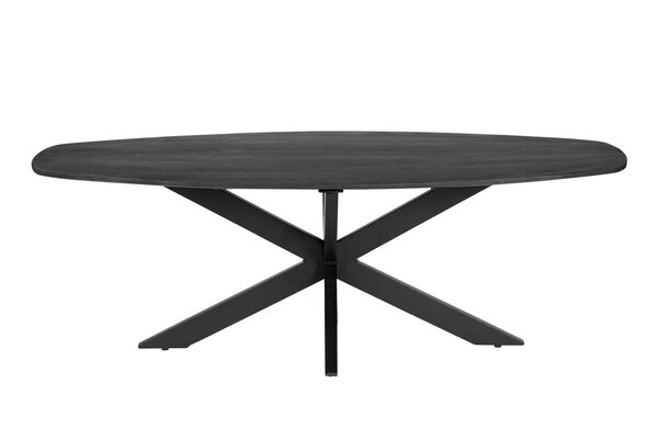 MIRA Salontafel - 40x60x120 - Mangohout - Zwart