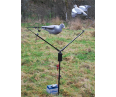 Lokcarroussel duif met bouncer