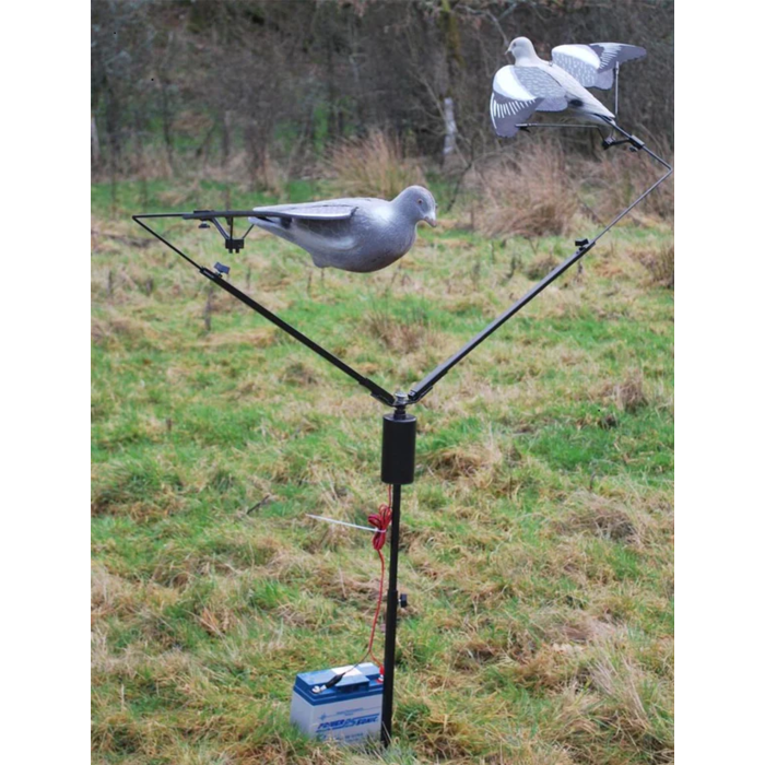 Lokcarroussel duif met bouncer