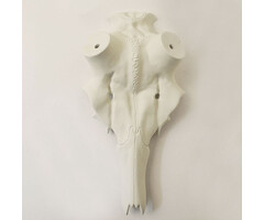 Adolf Boese Kunstschedel edelhert A7 - 55mm