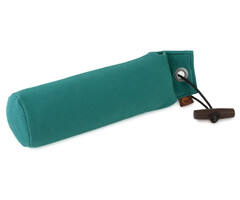 Firedog Firedog Canvas dummy lichtgroen 250 gram