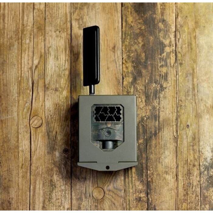 Stalen kluis Seissiger Wildcamera