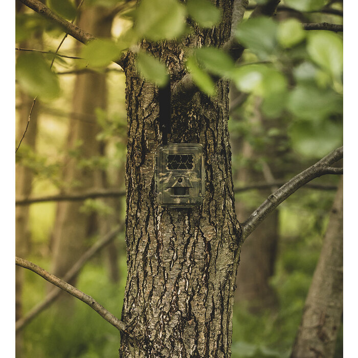 Seissiger Seissiger Wildcamera Special Cam LTE "Supersim edition"