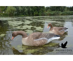 Prodecoys Prodecoys Grauwe ganzenlokkers drijvend