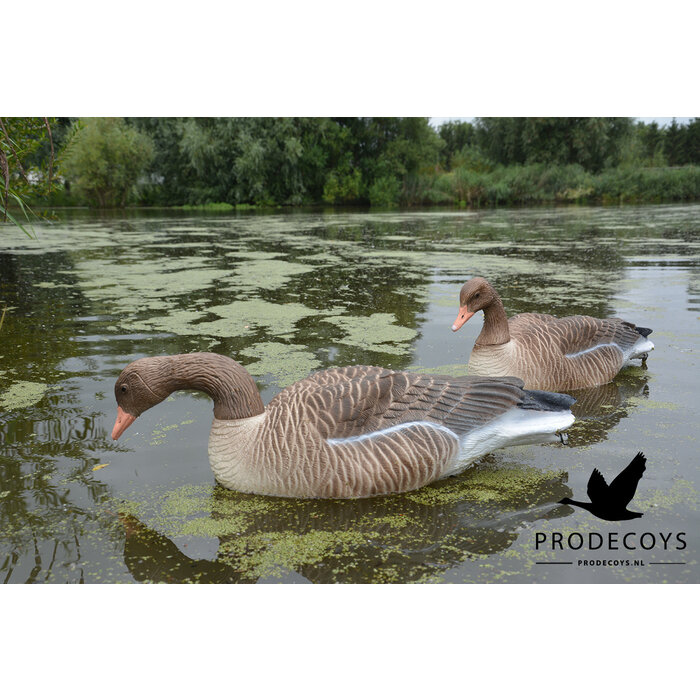 Prodecoys Prodecoys Grauwe ganzenlokkers drijvend
