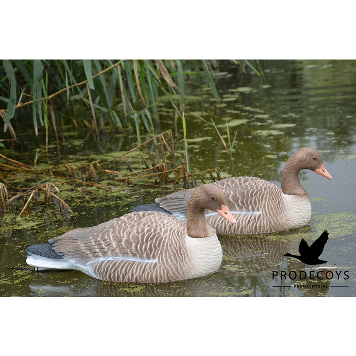 Prodecoys Prodecoys Grauwe ganzenlokkers drijvend