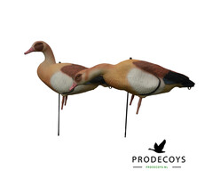 Prodecoys Prodecoys nijlganzen lokkers (12)