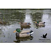 Prodecoys Prodecoys eenden lokkers drijvend