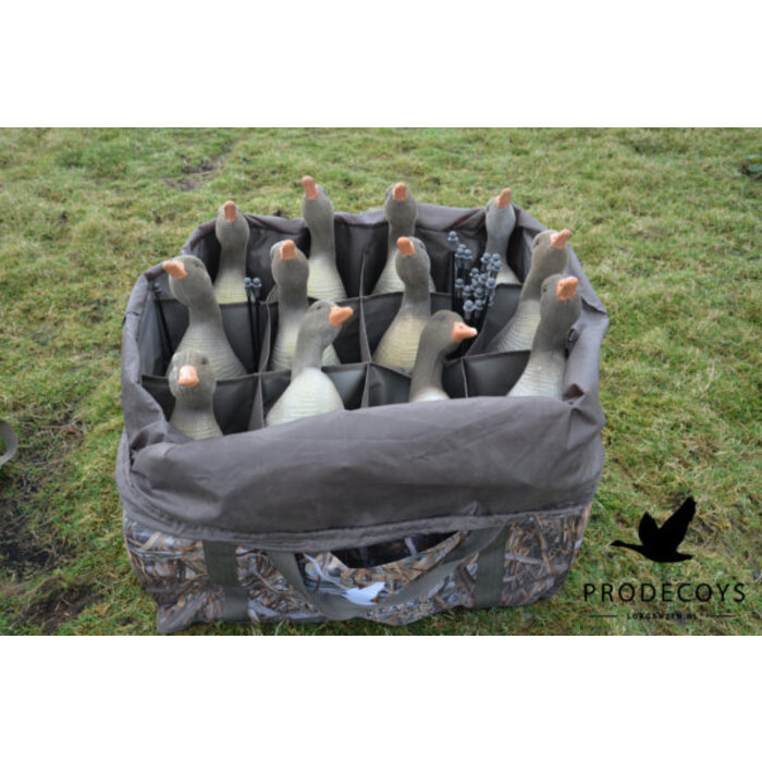 Prodecoys Prodecoys lokkertas 12 vaks